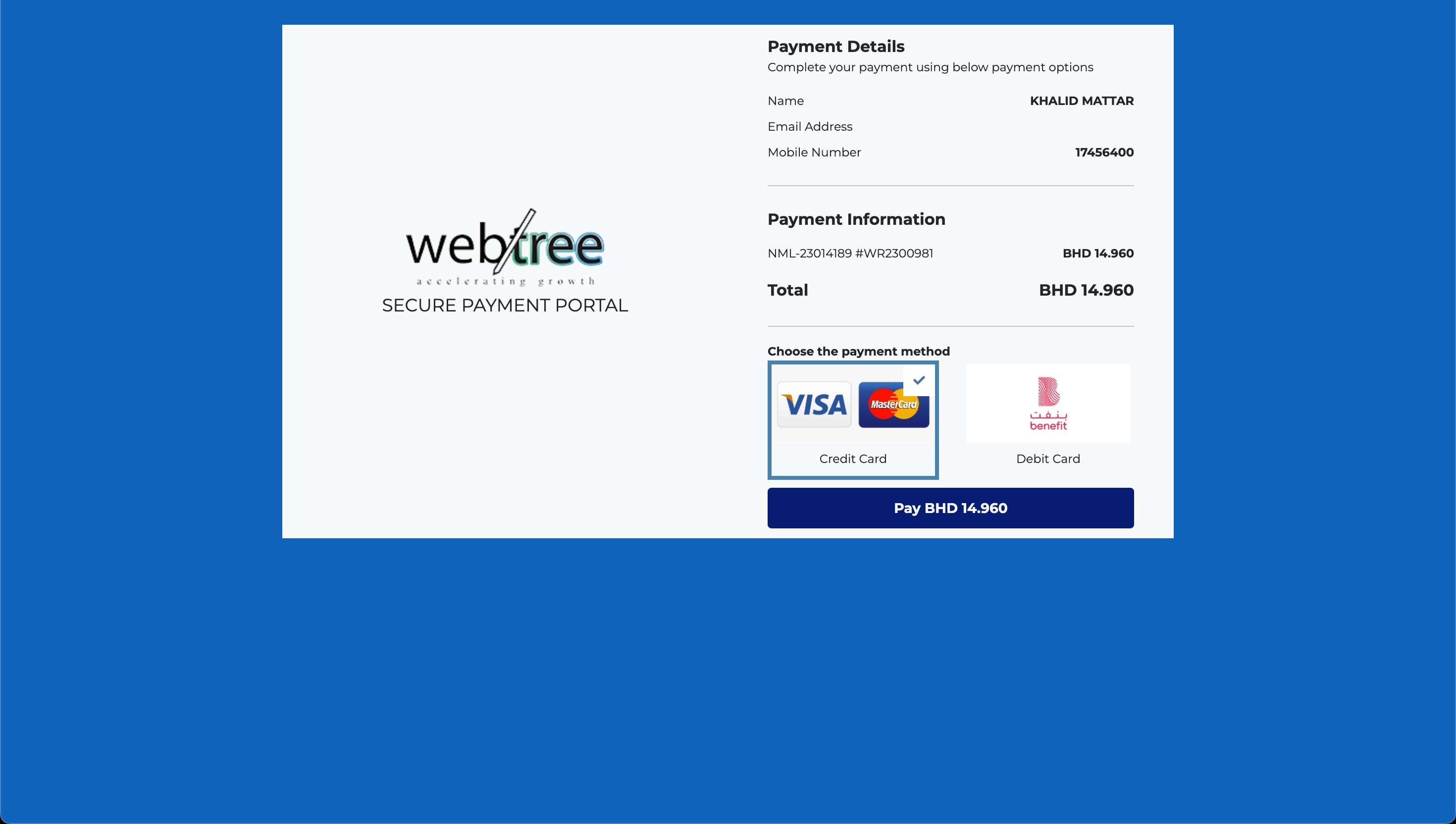 Payment portal for website